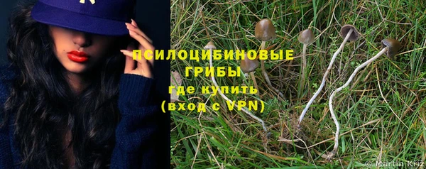 метадон Заволжск