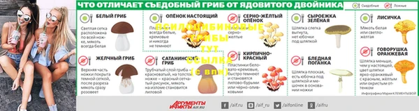 ГАЛЛЮЦИНОГЕННЫЕ ГРИБЫ Ельня