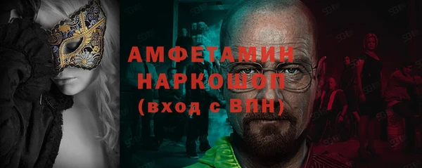 шишки Елизово