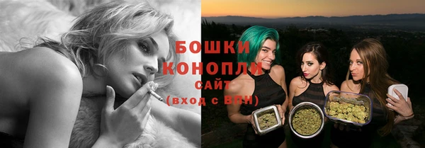 шишки Елизово