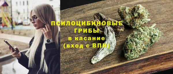 шишки Елизово