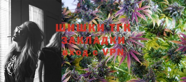 ГАЛЛЮЦИНОГЕННЫЕ ГРИБЫ Ельня