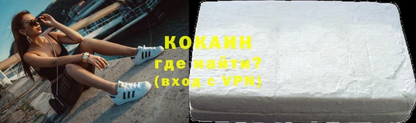 ГАЛЛЮЦИНОГЕННЫЕ ГРИБЫ Ельня