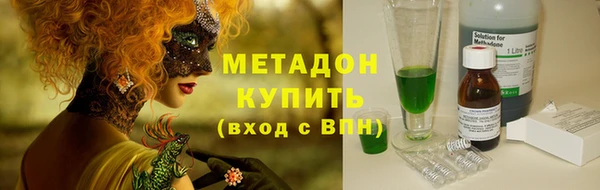 шишки Елизово