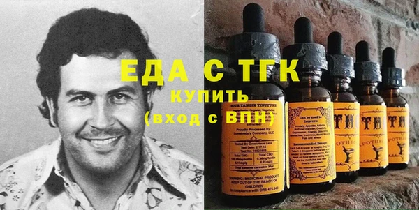 шишки Елизово