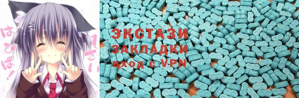 ГАЛЛЮЦИНОГЕННЫЕ ГРИБЫ Ельня