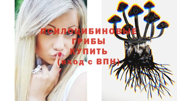 ГАЛЛЮЦИНОГЕННЫЕ ГРИБЫ Ельня