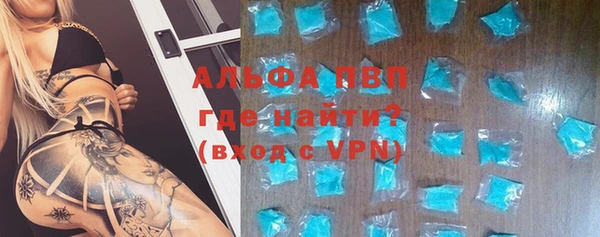 ГАЛЛЮЦИНОГЕННЫЕ ГРИБЫ Ельня
