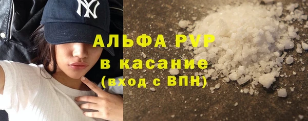 шишки Елизово