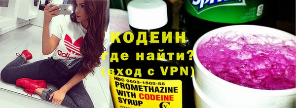 ГАЛЛЮЦИНОГЕННЫЕ ГРИБЫ Ельня